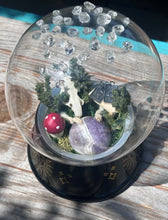 Load image into Gallery viewer, Oditty Terrarium