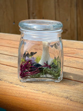 Load image into Gallery viewer, Oditty Terrarium