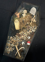 Load image into Gallery viewer, Oditty Terrarium