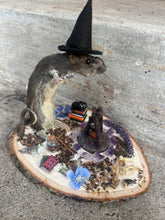 Load image into Gallery viewer, Rat Taxidermy