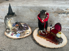 Load image into Gallery viewer, Rat Taxidermy