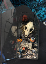 Load image into Gallery viewer, Oditty Terrarium