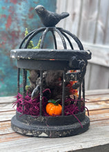 Load image into Gallery viewer, Oditty Terrarium