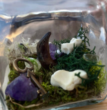Load image into Gallery viewer, Oditty Terrarium
