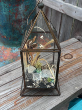 Load image into Gallery viewer, Oditty Terrarium