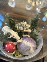 Load image into Gallery viewer, Oditty Terrarium