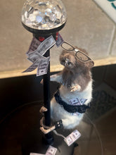 Load image into Gallery viewer, Rat Taxidermy