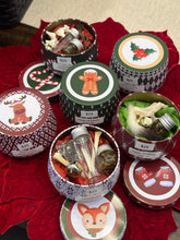 Load image into Gallery viewer, Oddity Mystery Tins