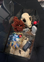 Load image into Gallery viewer, Oditty Terrarium