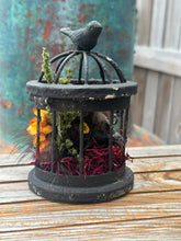 Load image into Gallery viewer, Oditty Terrarium