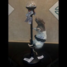 Load image into Gallery viewer, Rat Taxidermy
