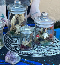 Load image into Gallery viewer, Oditty Terrarium