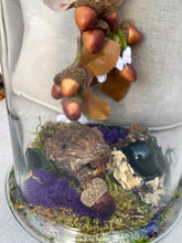 Load image into Gallery viewer, Oditty Terrarium