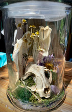 Load image into Gallery viewer, Oditty Terrarium