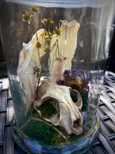 Load image into Gallery viewer, Oditty Terrarium