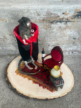 Load image into Gallery viewer, Rat Taxidermy
