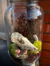 Load image into Gallery viewer, Large Terrarium
